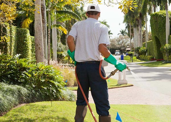 About Bowdon Junction GA Pest Control Pros